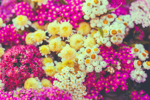 Background Of Beautiful Colorful Wild Summer Flowers. © Grigory Bruev
