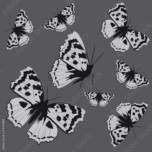 butterflies design
