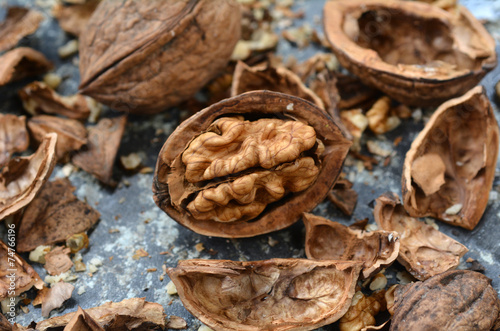 Juglans regia walnut