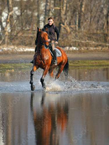 Young girl riding a big brown horse through water