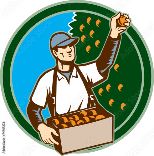 Fruit Picker Worker Picking Plum Circle