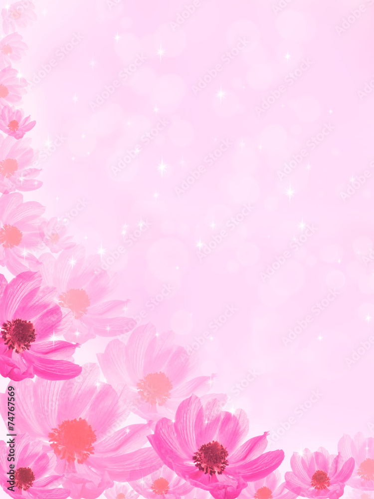 fantastic pink background with flower anemone