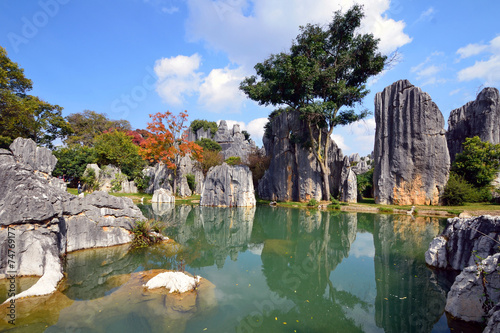 Stone Forest in Kunming City China