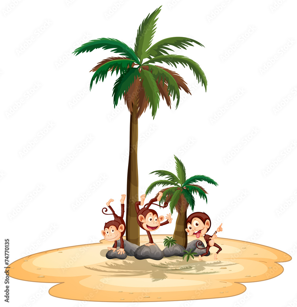 Obraz premium Monkeys and island