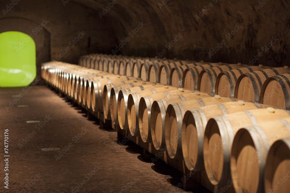 Cantina di Vino e barrique Cantina di Vino e barrique
