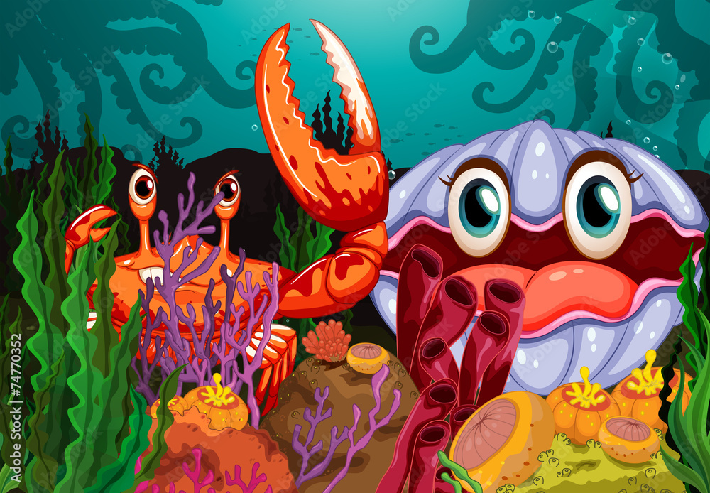 Obraz premium A big crab and a clam