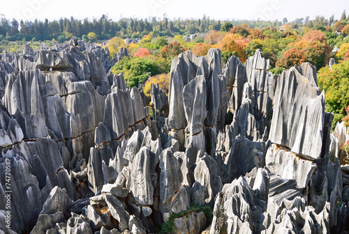 Stone Forest in Kunming City,China