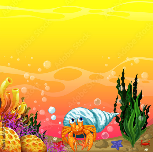 A shell under the sea