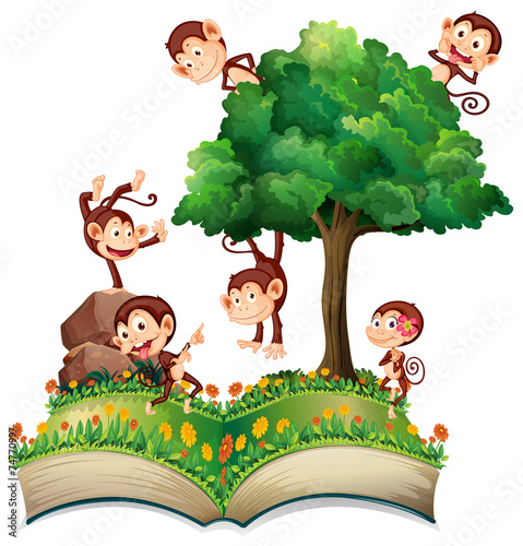 Monkeys and tree
