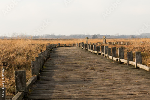 Wanderweg aus Holz im Moor