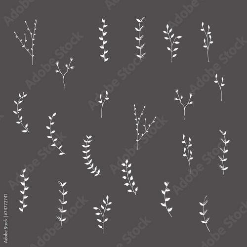 Hand-drawn silhouettes branches graphic design elements set