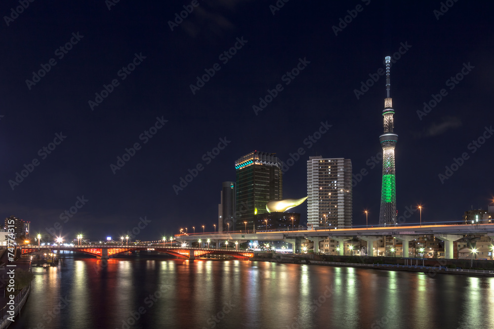 Obraz premium Tokyo Sky Tree Christmas Light Up