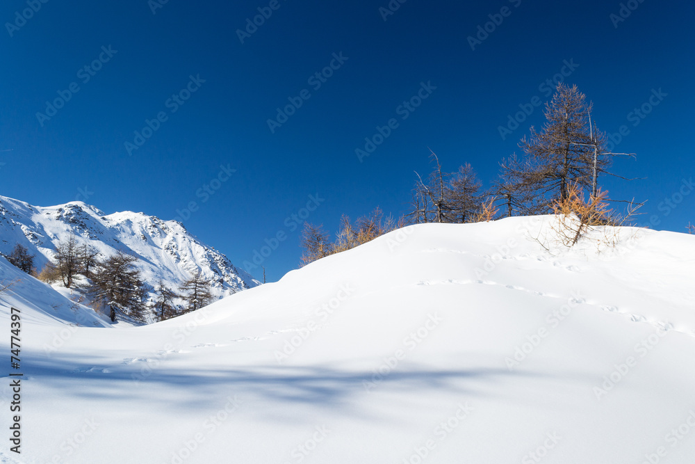 Ski slope in the alpine arc