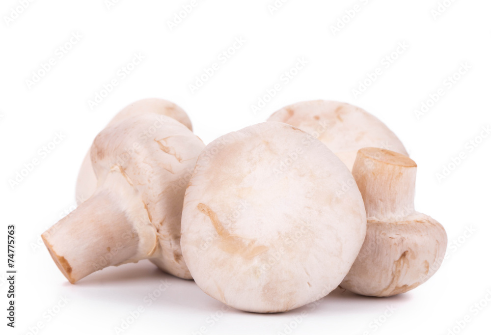 champignon mushrooms. champignon mushrooms.