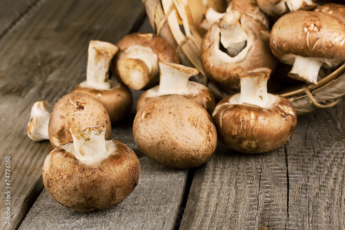 Raw mushrooms with brown hat