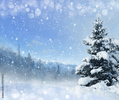 winter christmas background © Vitaly Krivosheev
