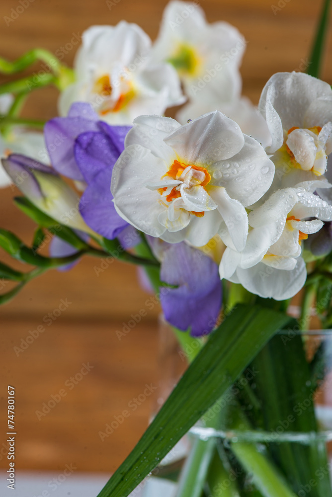 Obraz premium cloese view on spring flowers