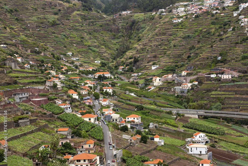 Agriculture and landscapes of Madeira Island