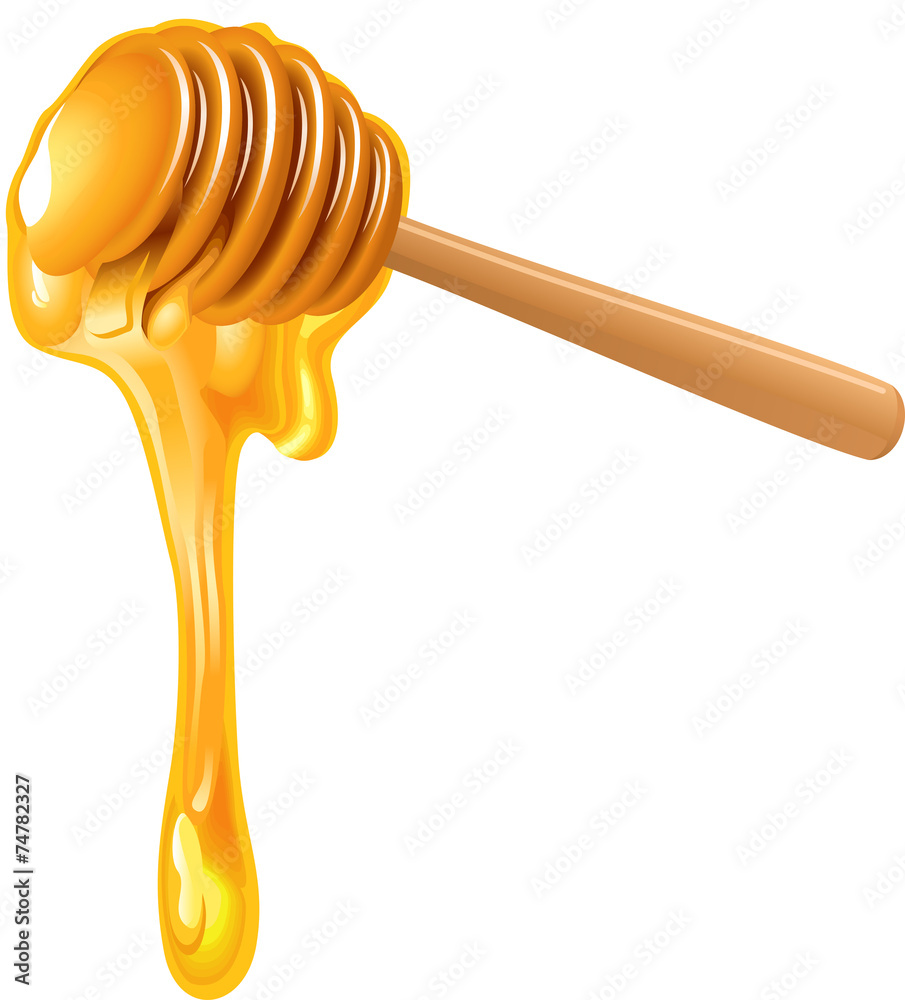 drizzler with sweet honey isolated on white drizzler with sweet honey isolated on white