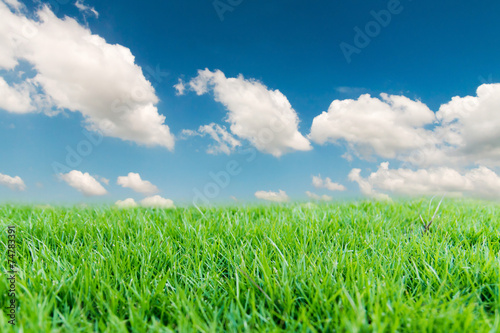 Blue sky and green grass field.