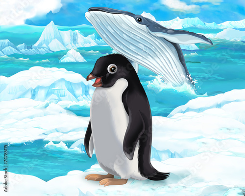 Cartoon scene - arctic animals - penguin