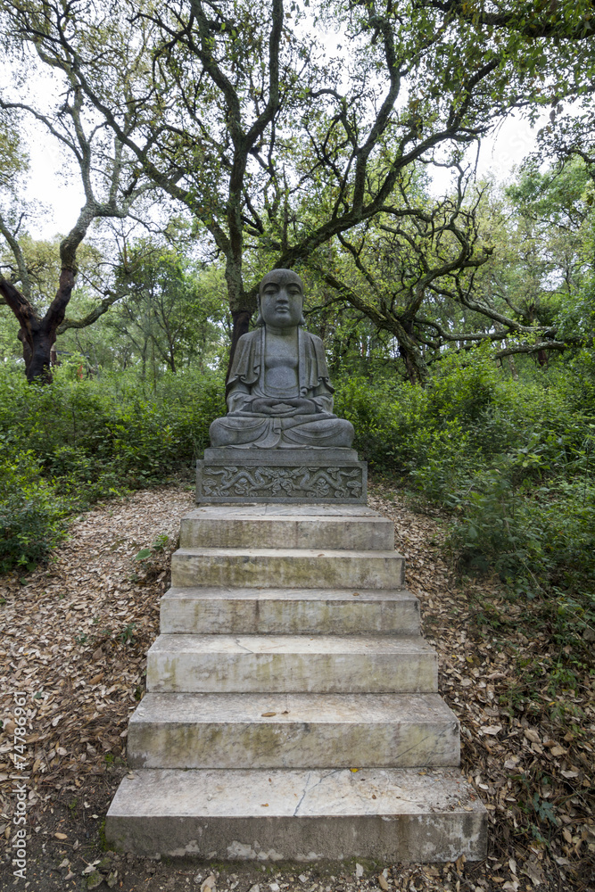 Close up view of a beautiful Buddha statue on a park.