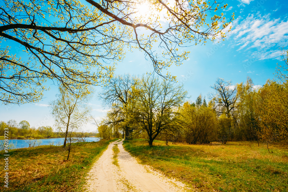 Spring Season In Park. Green Young Grass, Trees On Blue Sky Back