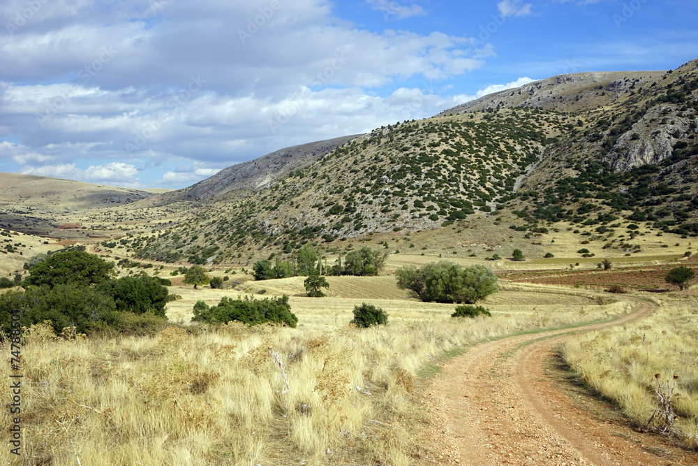 Fototapeta premium Dirt road