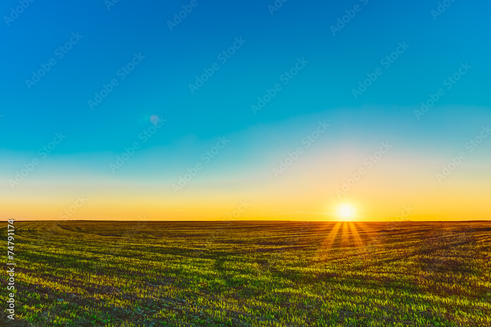 Sunset, Sunrise, Sun Over Rural Countryside Wheat Field. Spring