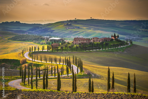 Wallpaper Mural Sunny fields in Tuscany, Italy