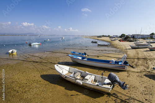 shoreline of the island of Farol