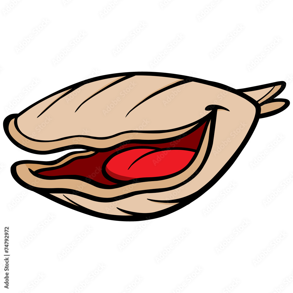 Clam Cartoon Clam Cartoon