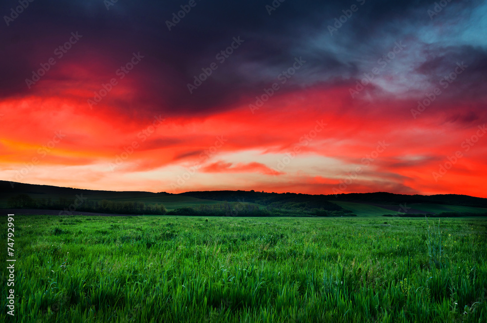 Obraz premium night background