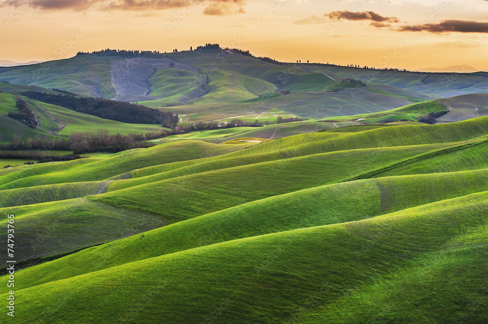 Sunny fields in Tuscany, Italy