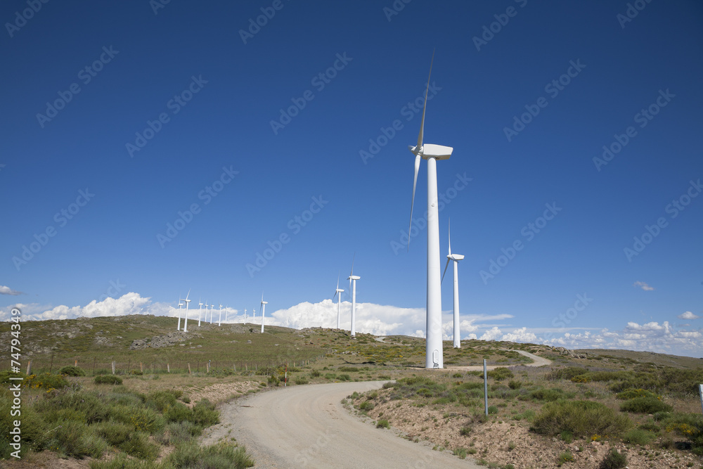 row of white wind turbines