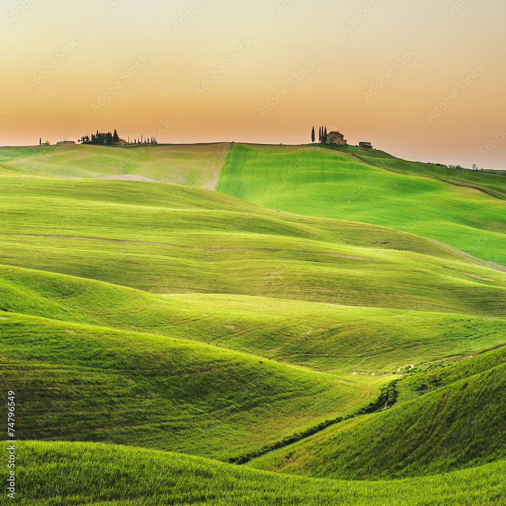 Naklejka premium Sunny fields in Tuscany, Italy