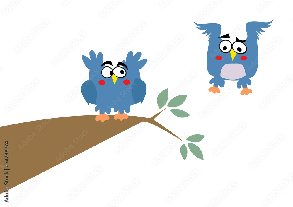 Fototapeta premium ptak