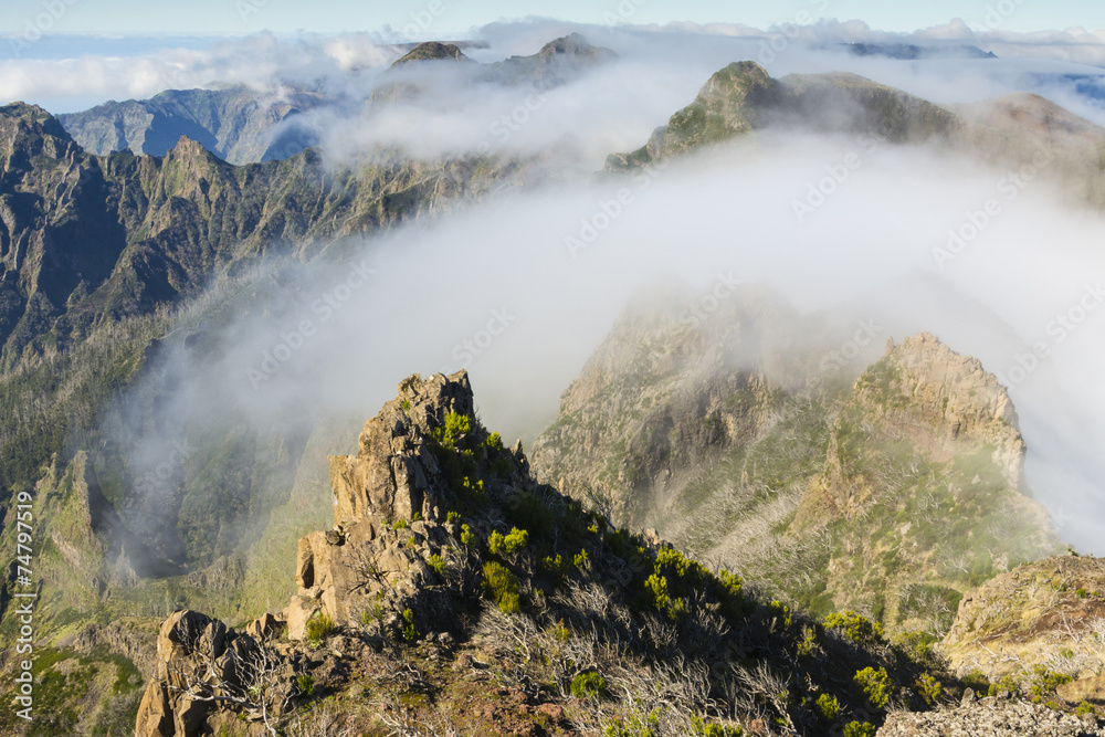 Morning fog near Pico do Ruivo, Madeira (Portugal)