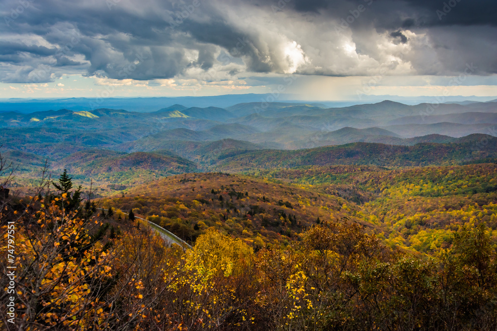 Naklejka premium Autumn view from Rough Ridge, near the Blue Ridge Parkway in Nor