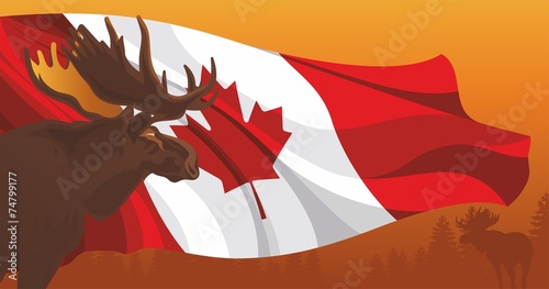 Moose against the flag and nature in Canada