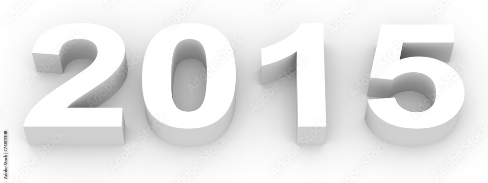 2015 New Year.