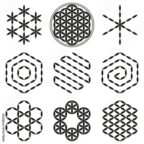 Eight extracted patterns from the Flower of Life