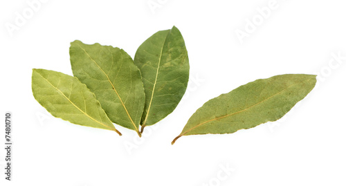 Bay leaves isolated on white