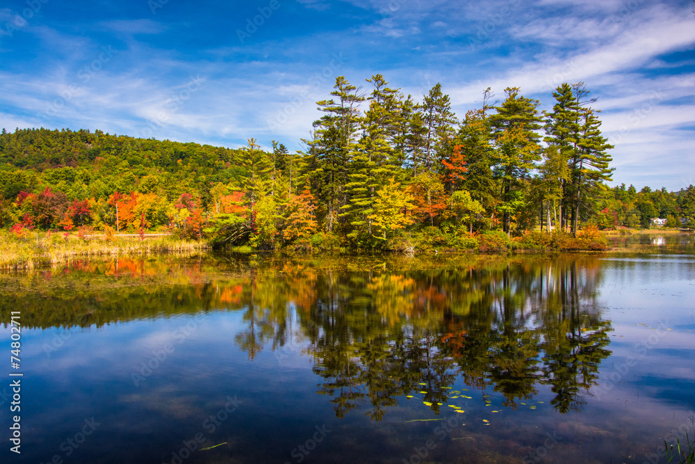 Early autumn color at North Pond, near Belfast, Maine.