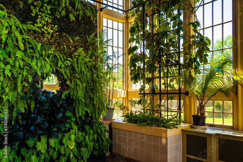 Fényképezés Green wall in the Howard Peters Rawlings Conservatory, in Druid