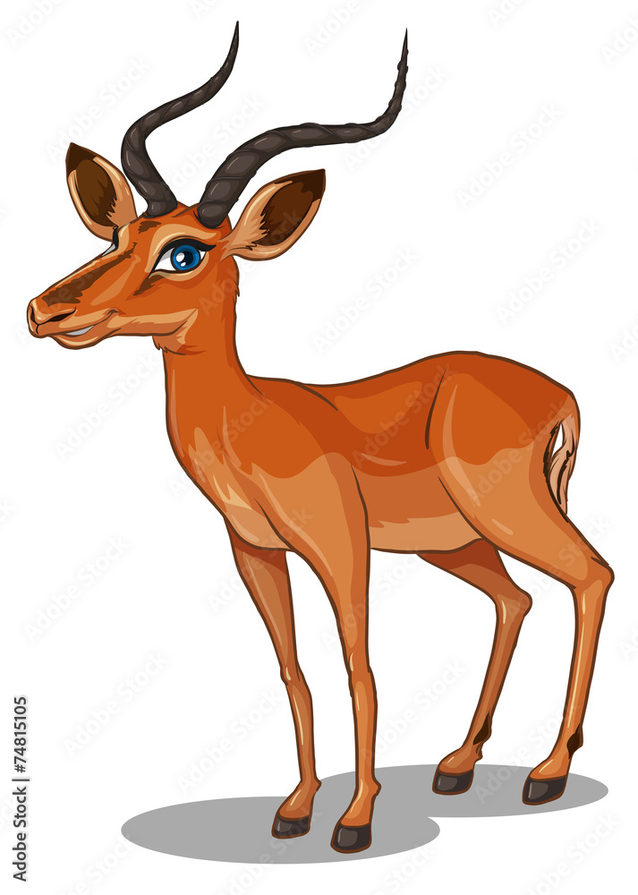Fototapeta premium Gazelle