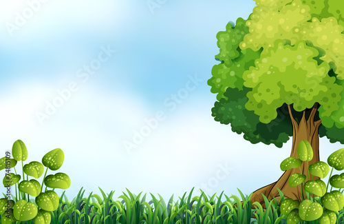 Nature