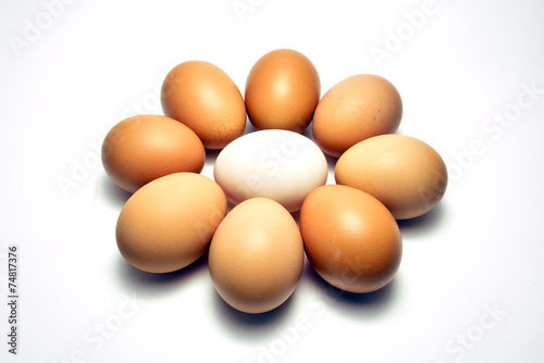 Duck egg laid in the center surrounded by chicken egg