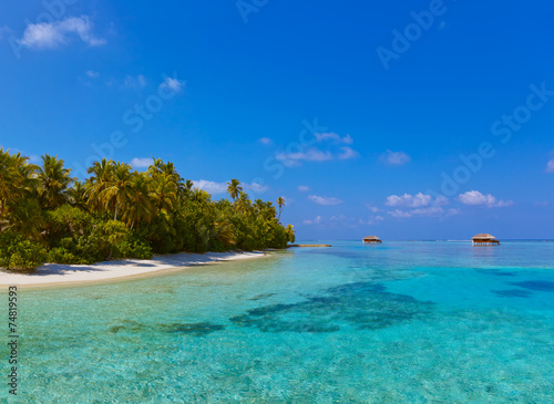 Tropical Maldives island