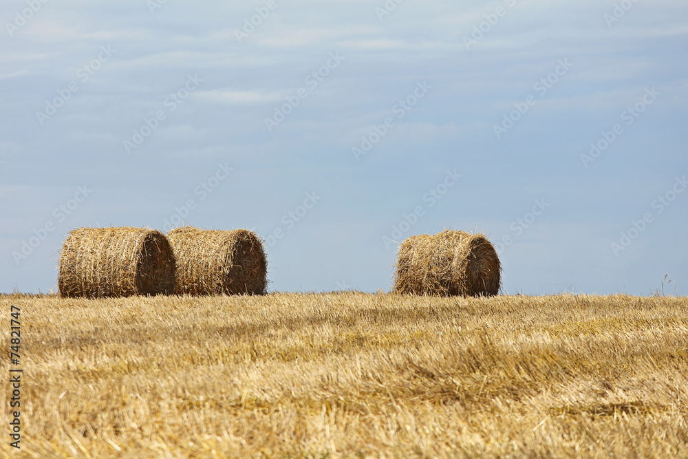 Hay bales